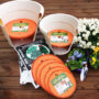 Ups-A-Daisy Planter Insert 15″ – Terra Cotta